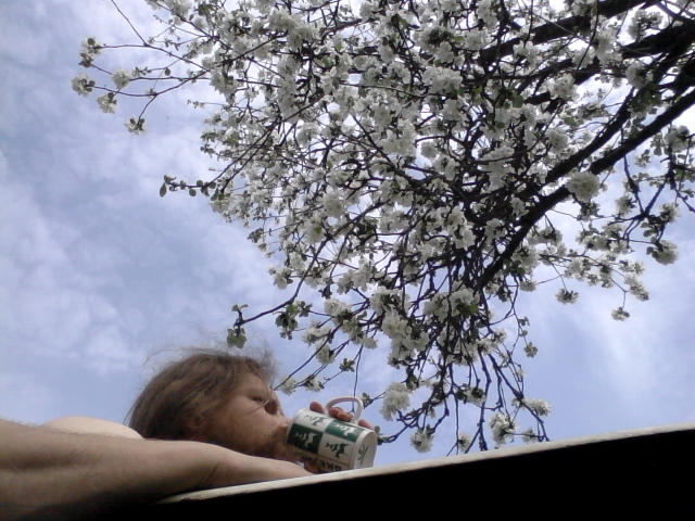 coffee in the garden bathtub