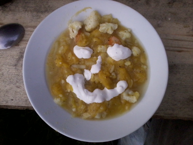 pumpkin stew with smetana