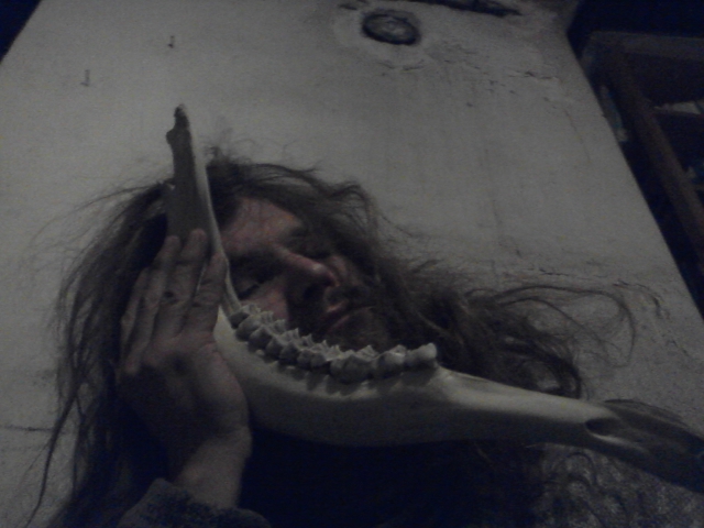 Enormous Elk calling