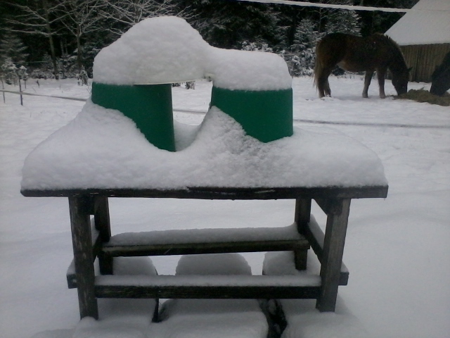 first snow