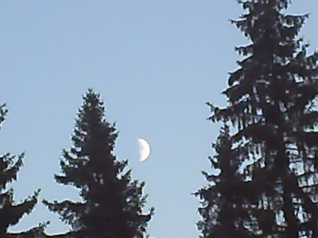 hey moon!