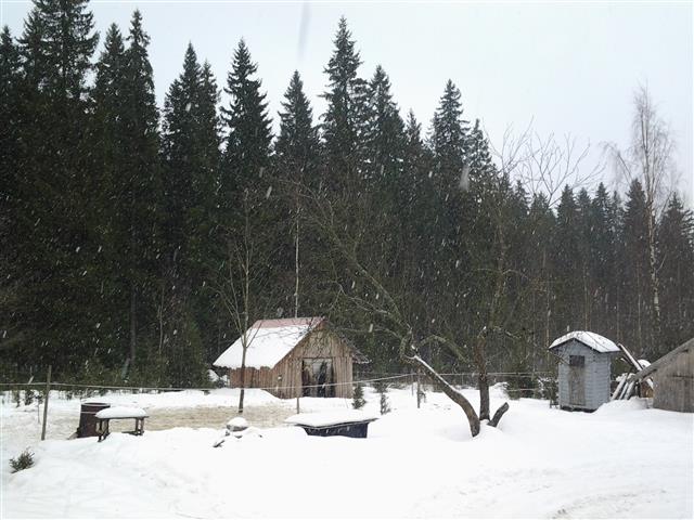snowfall