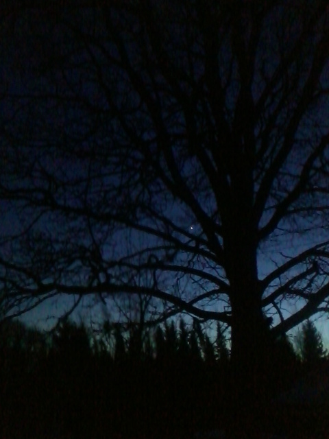 19th of January 2017