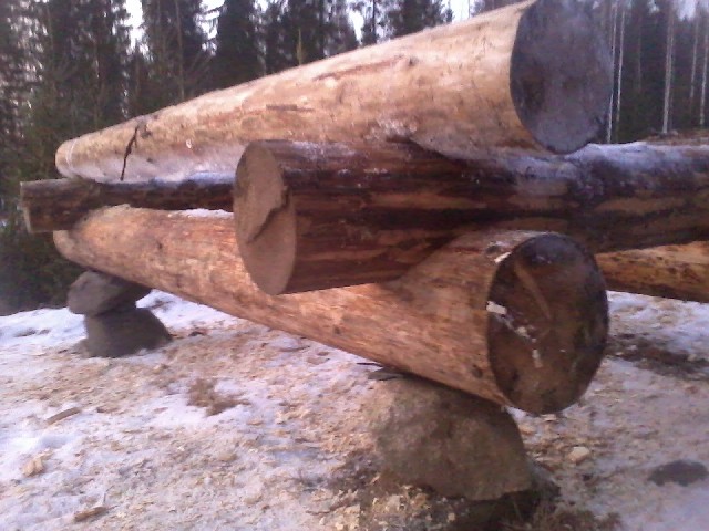 28th of January 2017