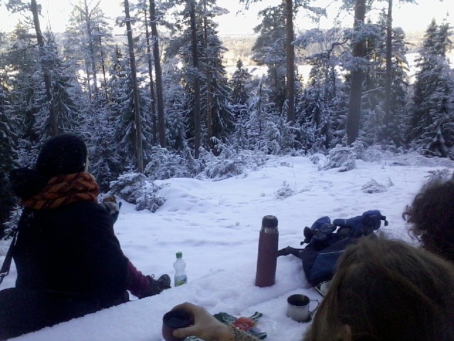 7th of February 2017