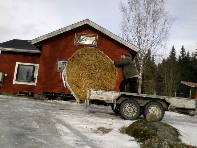 20th of February 2017