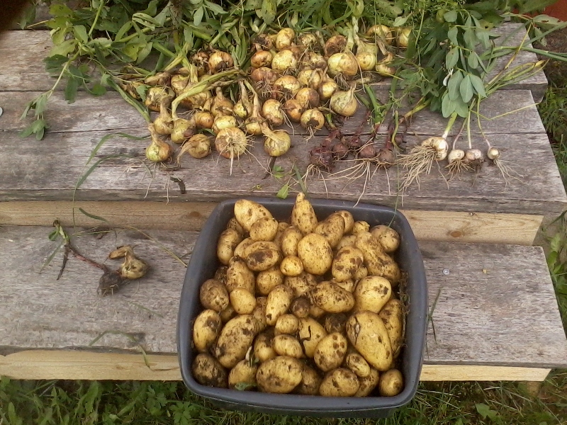 2nd of September 2017