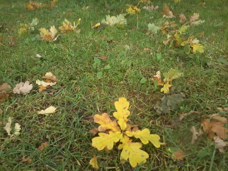 10th of September 2017