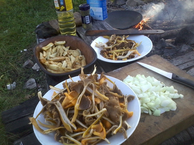 24th of September 2017