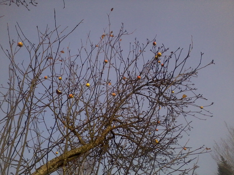 17th of October 2017