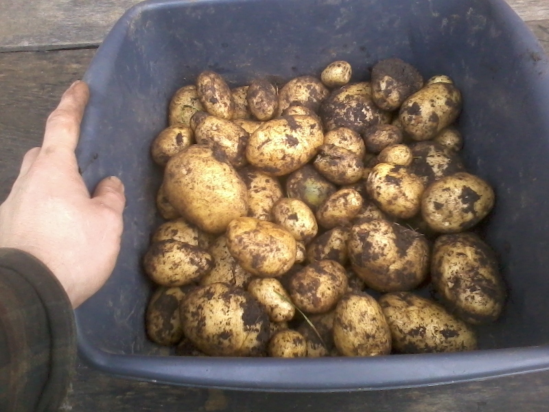 21st of October 2017