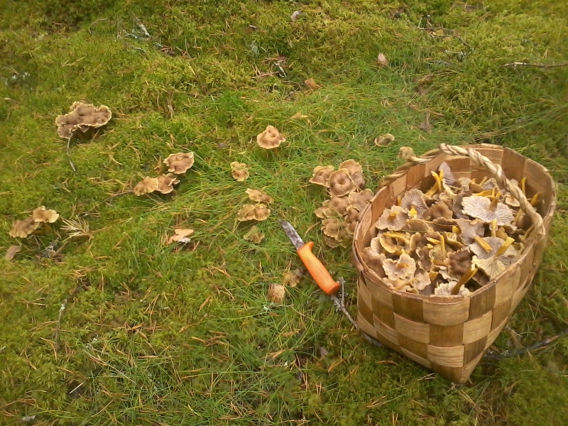 22nd of October 2017