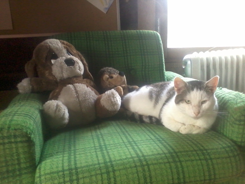 8th of November 2017