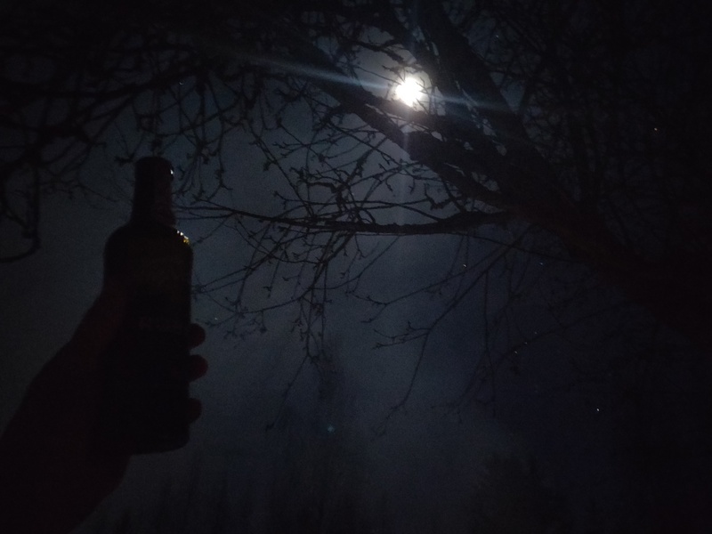 15th of January 2022