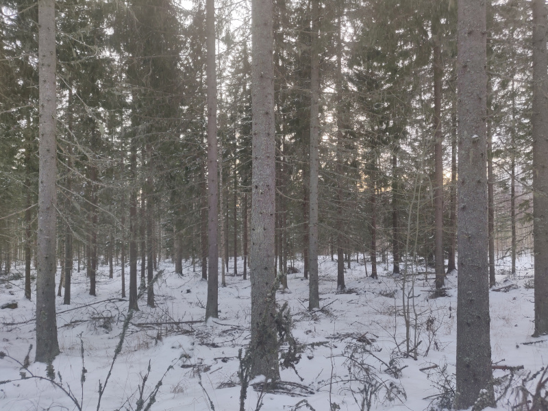 22nd of January 2022