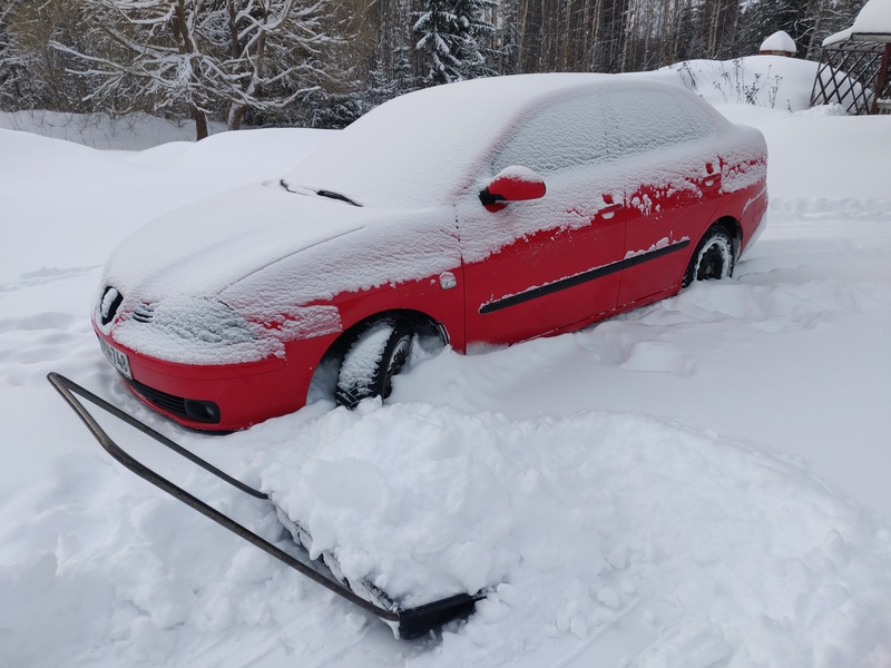 31st of January 2022