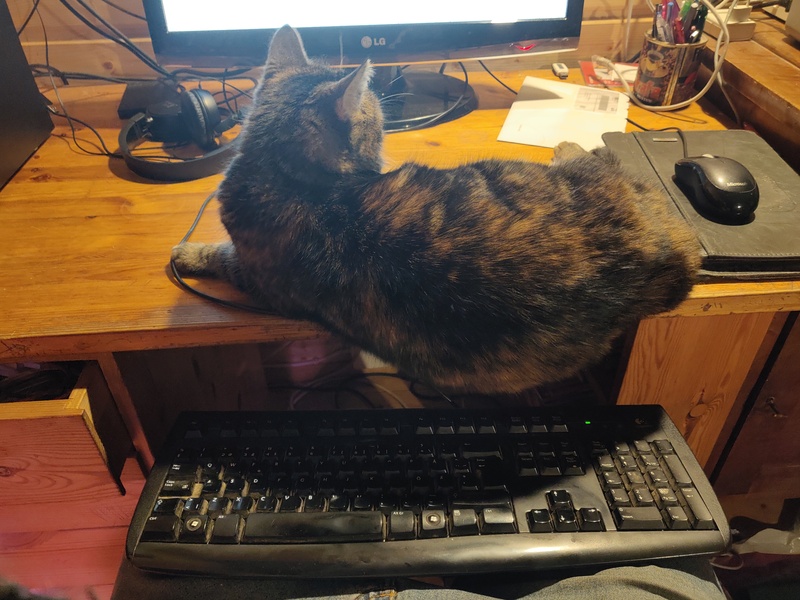 15th of February 2022