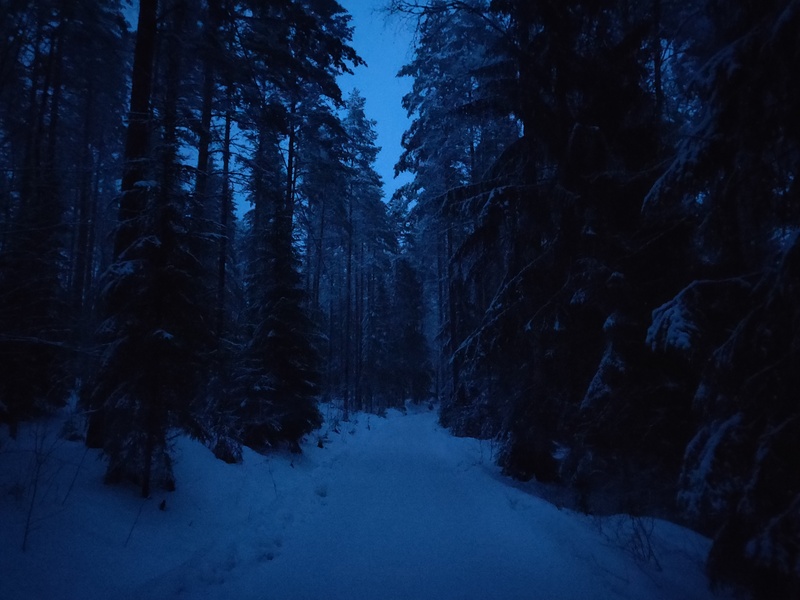 17th of February 2022