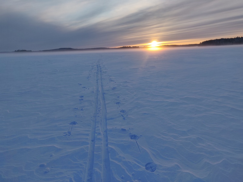 19th of February 2022