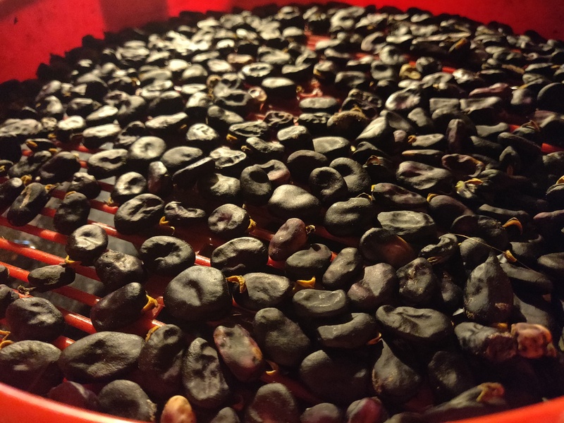 4th of September 2022