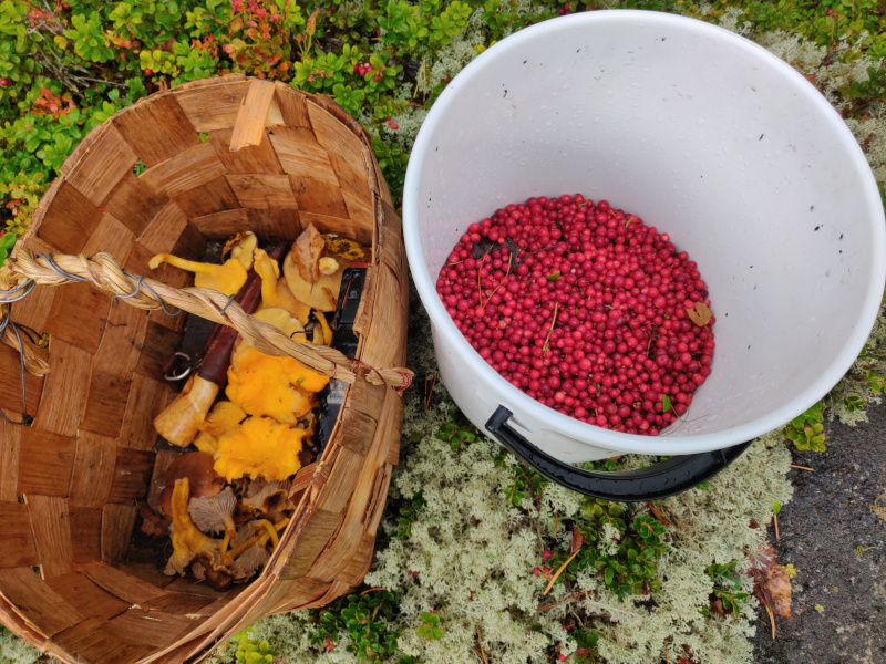 17th of September 2022