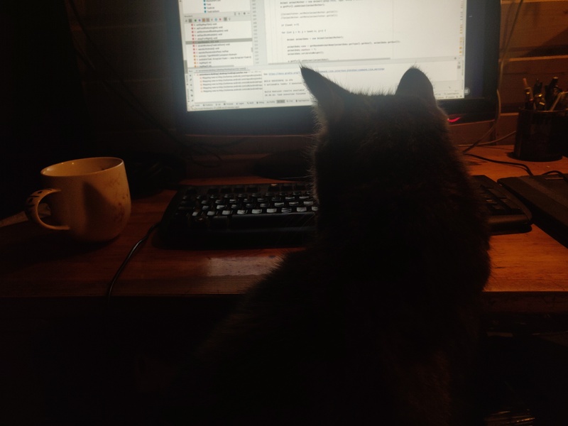 29th of October 2022