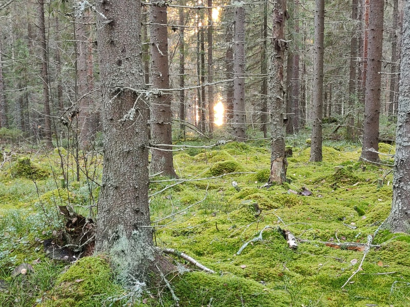 30th of October 2022