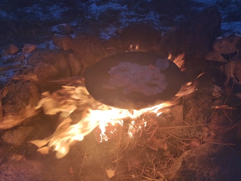 21st of November 2022