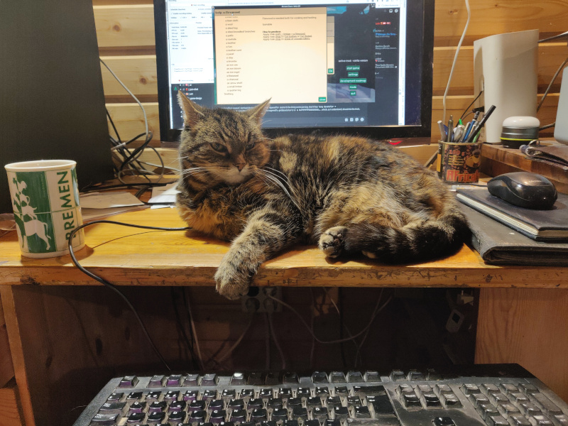 21st of January 2024