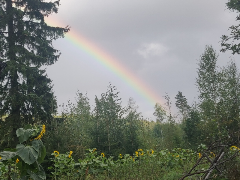 1st of September 2024