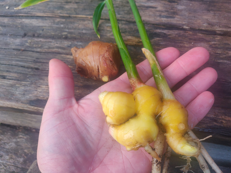 7th of November 2024