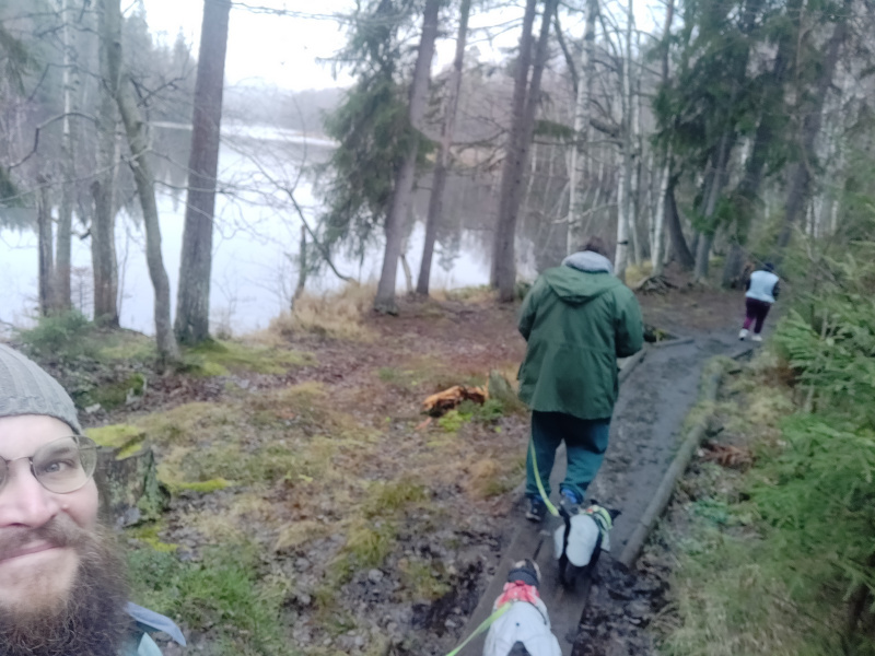 10th of November 2024