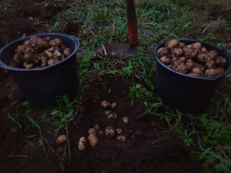 12th of November 2024