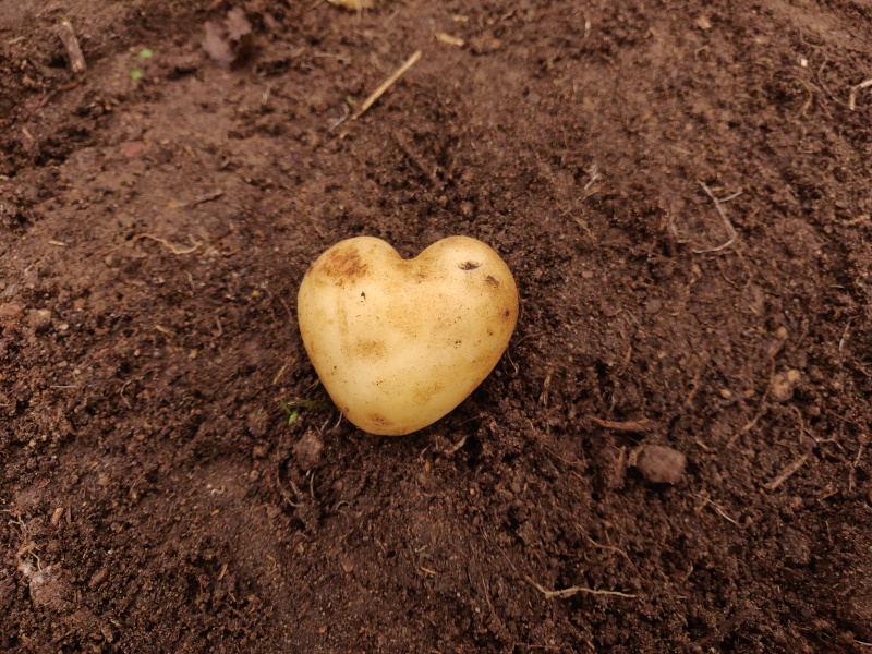 13th of November 2024