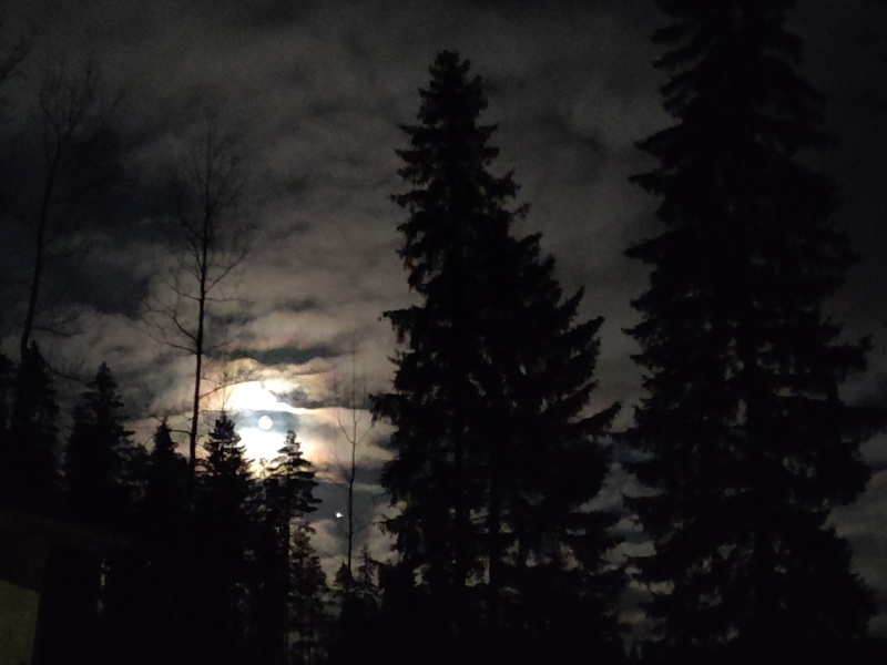 17th of November 2024