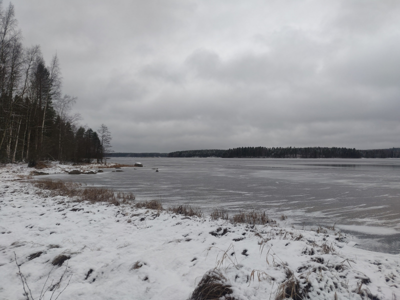 20th of November 2024