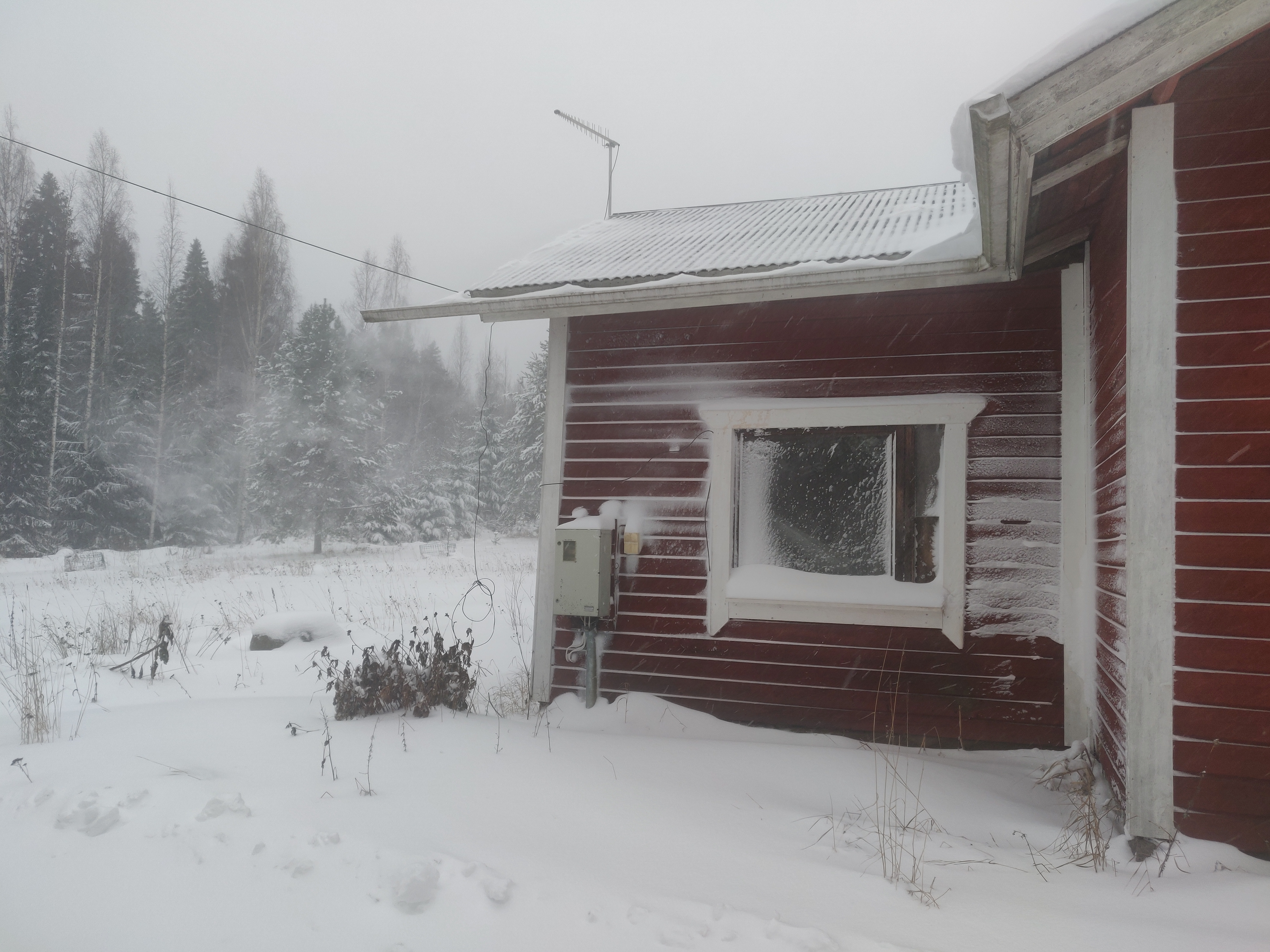 21st of November 2024