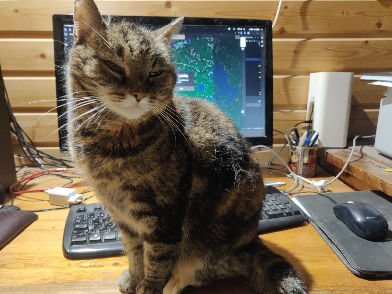 22nd of November 2024