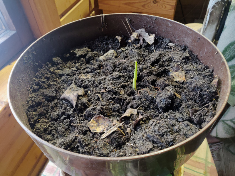 23rd of November 2024