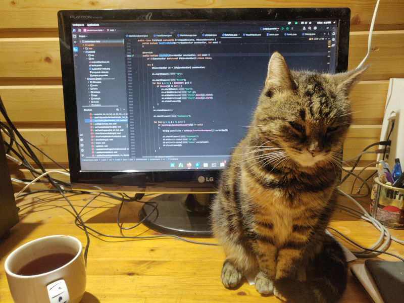 8th of December 2024 8th of December 2024