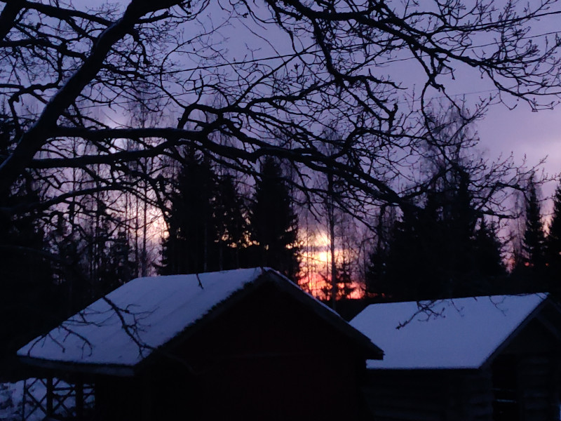 12th of December 2024 12th of December 2024