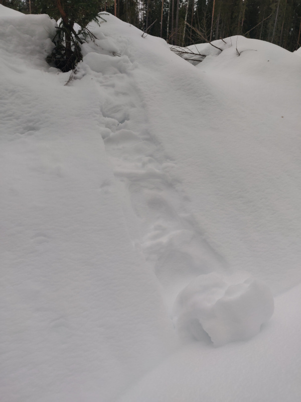 20th of December 2024 20th of December 2024