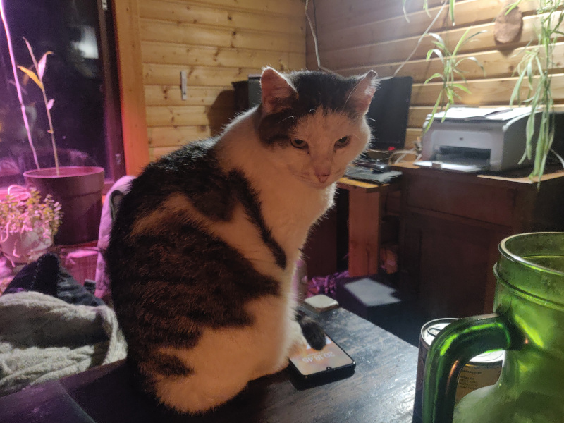 22nd of December 2024 22nd of December 2024