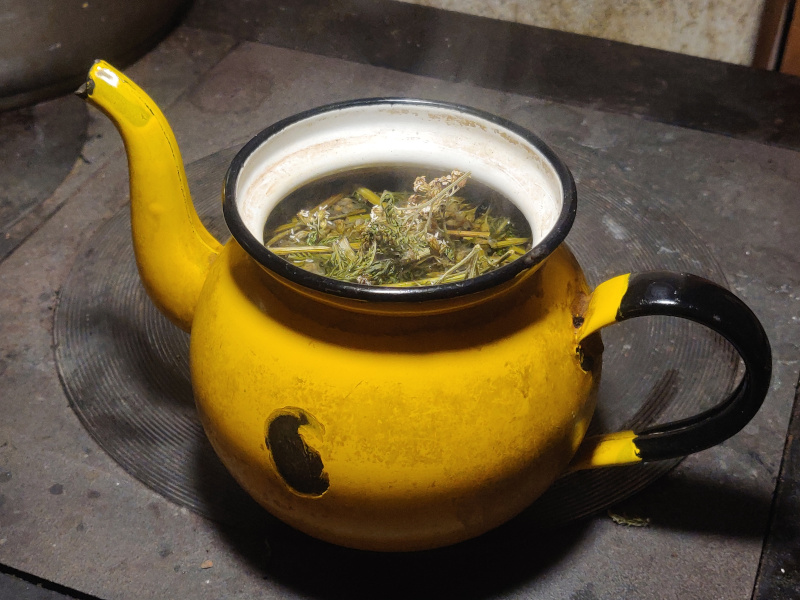 18th of January 2026