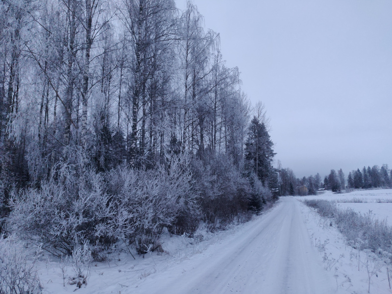 7th of February 2026