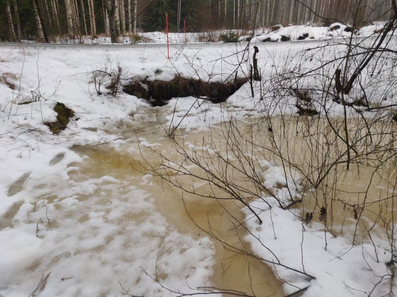 28th of February 2026 28th of February 2026