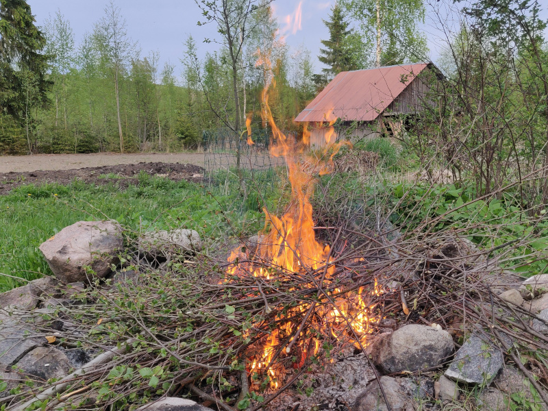 18th of May 2026