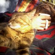 sunday morning coffee