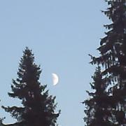 hey moon!