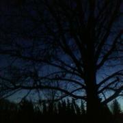 19th of January 2017